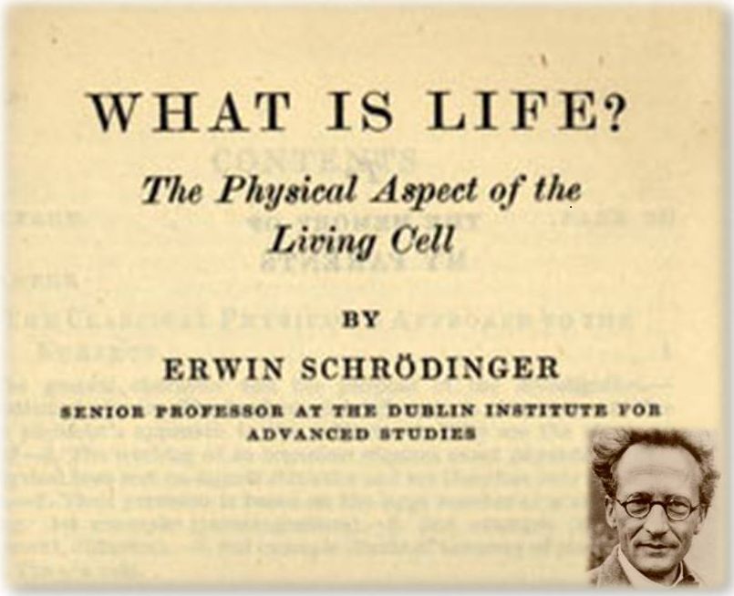 What is life - Schrodinger
